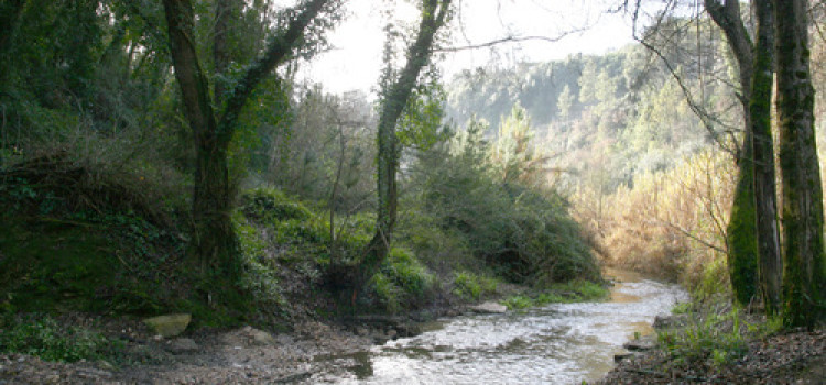The Lapedo Valley and Lapedo Boy, Cross Between Neanderthal and Cro-Magnon, Archaeological Site The Lapedo Valley and Lapedo Boy, Cross Between Neanderthal and Cro-Magnon, Archaeological Site